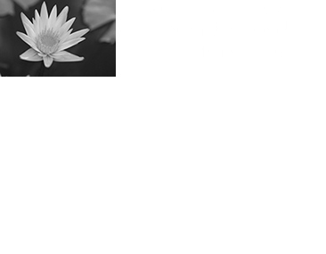 ﷯Mountain Biking Events: Susanville Super D October 10, 2015 
